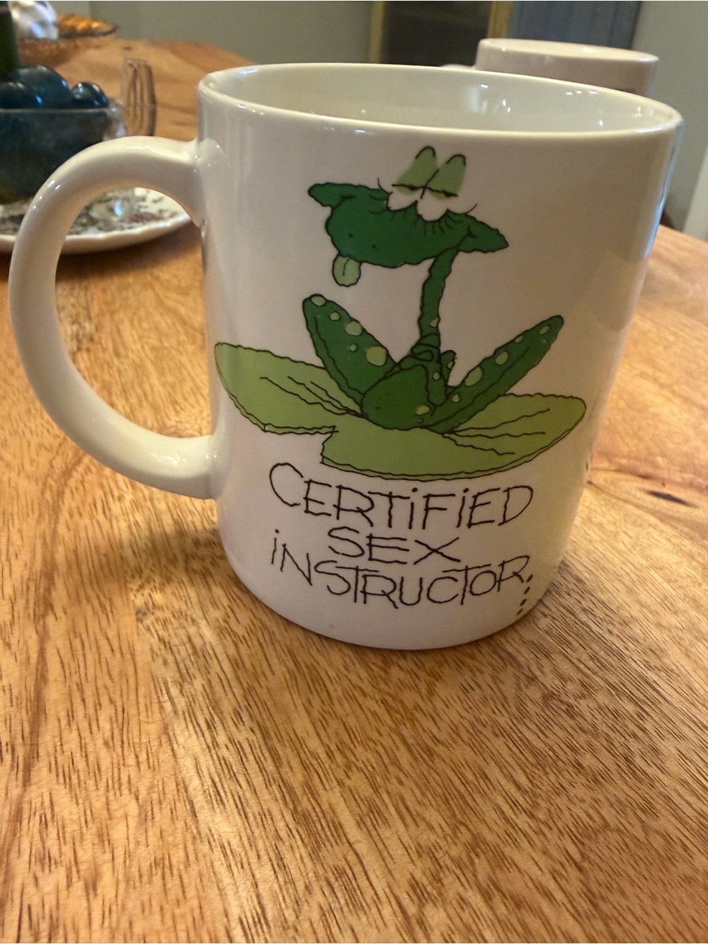Vintage Certified Sex Instructor Ceramic Mug. Funny. Russ